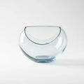 Handblown Glass Centerpiece Bowl in Clear